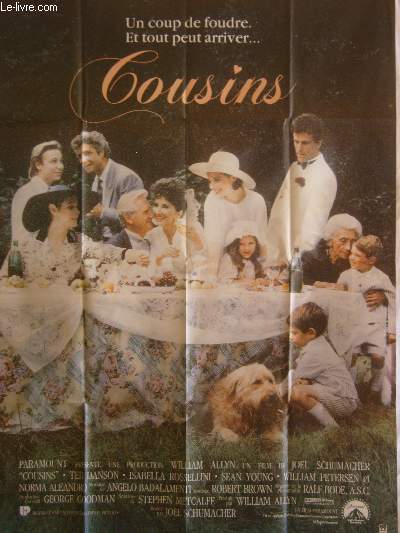 AFFICHE DE CINEMA - COUSINS