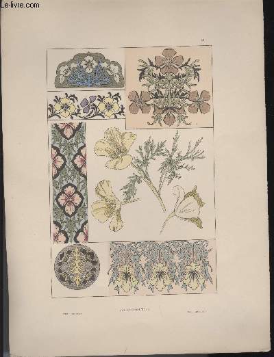 GRAVURE 19eme COULEURS - PLANCHE N11 - ESCHSCHOLTZIE