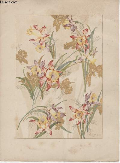 GRAVURE 19eme COULEURS - PLANCHE N2 - FLEURS