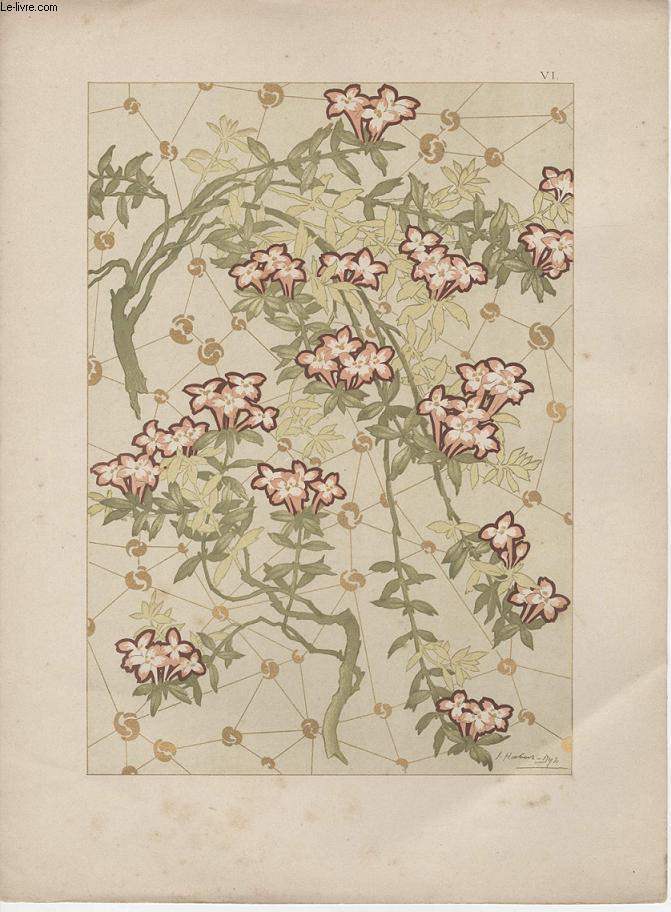 GRAVURE 19eme COULEURS - PLANCHE N6 - FLEURS