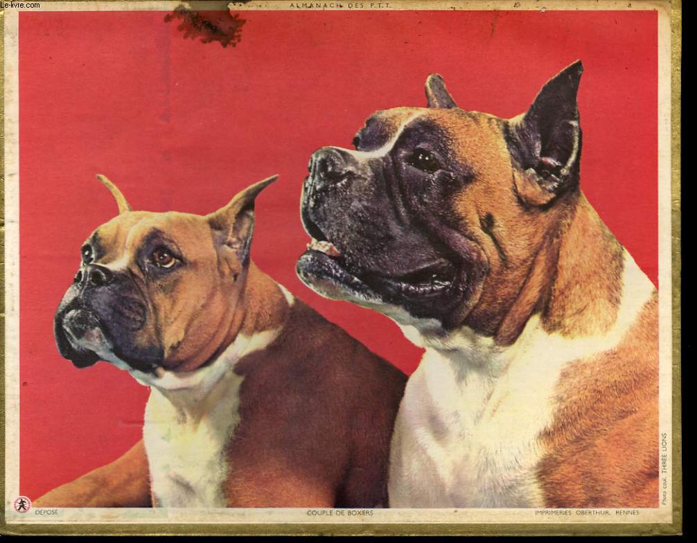 CALENDRIER - ALMANACH DES P.T.T. - COUPLE DE BOXER