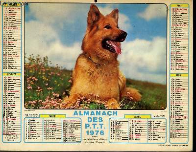 CALENDRIER - ALMANACH DES P.T.T. - CHIEN BERGER ALLEMAND - FUTURE ARTISTE