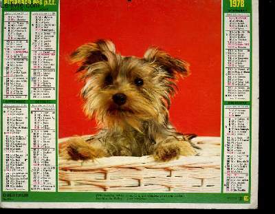CALENDRIER - ALMANACH DES P.T.T. - ANIMAUX / ENFANT