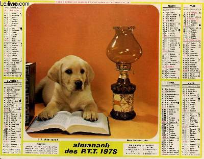 CALENDRIER - ALMANACH DES P.T.T. - CHAT CURIEUX - CHIEN SAVANT