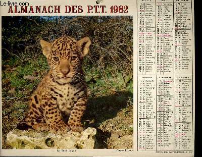 CALENDRIER - ALMANACH DES P.T.T. - LE BEBE LION - LE BEBE JAGUAR
