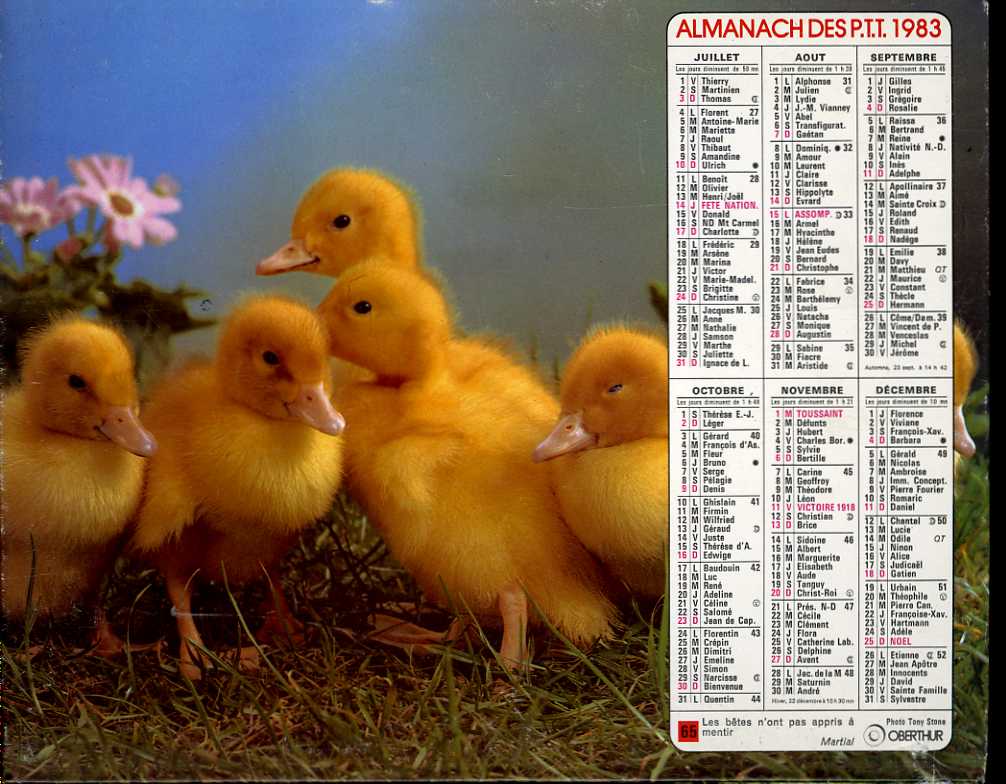 CALENDRIER - ALMANACH DES P.T.T. - ANIMAUX DE LA FERME