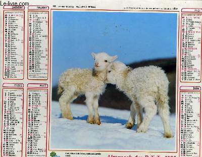CALENDRIER - ALMANACH DES P.T.T. - JEUNES MOUTONS - FILLETTE ET CHIEN BLANC