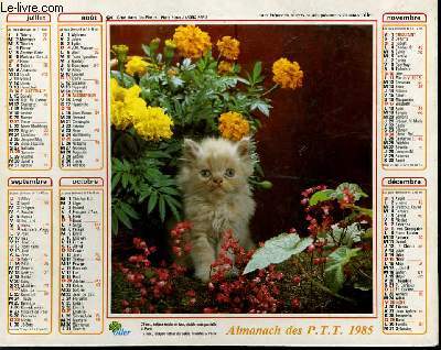 CALENDRIER - ALMANACH DES P.T.T. - FOX-TERRIERS - CHAT DANS LES FLEURS