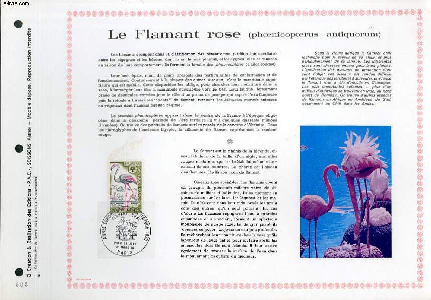 FEUILLET ARTISTIQUE PHILATELIQUE  - PAC - 70 - 09 - LE FLAMANT ROSE ( PHOENICOPTERUS ANTIQUORUM)