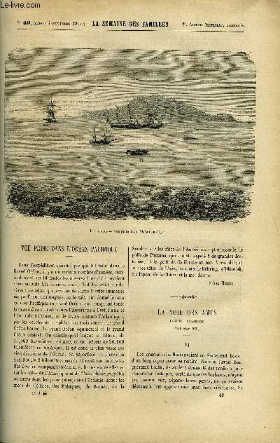 LA SEMAINE DES FAMILLES 11EME ANNEE N49 - VUE PRISE DANS L'OCEAN PACIFIQUE FELIX-HENRI, LA VOIE DES AMES (FIN) DE MARQUIS DE ROYS, CONTES DE MA NOURRICE DE ANDRE LE PAS, LA COLONNADE DES CHEVEUX A SERINGAM DE RENE, CAUSERIES SUR L'HISTOIRE DE FRANCE III