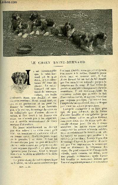 LE MONDE MODERNE TOME 14 - LE CHIEN SAINT-BERNARD