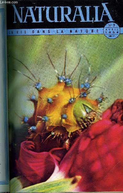 NATURALIA N 7 - Attention aux introductions dangereuses par Paul Vayssire, Histoires de cigognes par le Dr. G. Bouet, Bois du Nord par Henri Gaussen, Le Tchad, rendez vous des btes sauvages par Ren Malbrant, Le Pagure, dit : Bernard-l'ermite
