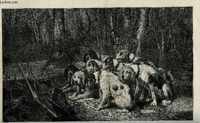LA SEMAINE ILLUSTREE ET LE MESSAGER DE LA SEMAINE N 41 - La chasse - pourquoi l'homme chasse par H. Martin Dairvault, Monseigneur le comte de Chambord par le comte O'Brien, Pillone (suite) par Guillaume Bergsoe, Les chasss par H. Martin Dairvault