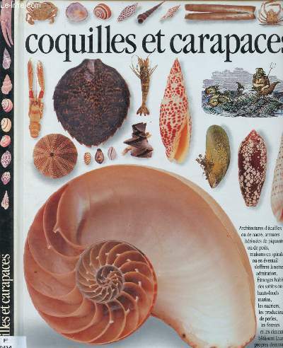 COQUILLES ET CARAPACES (DOCUMENTAIRE JEUNESSE SUR LES COQUILLAGES) - COLLECTION 
