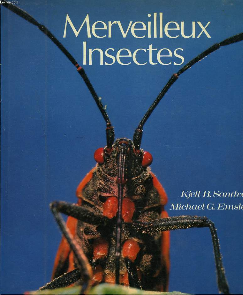 MERVEILLEUX INSECTES.