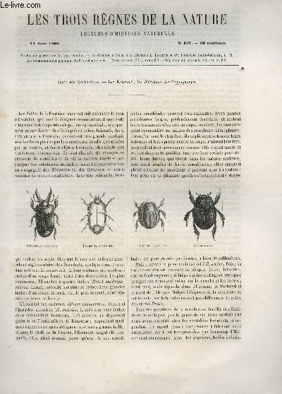 LES TROIS REGNES DE LA NATURE - LECTURES D'HISTOIRE NATURELLE / TROISIEME ANNEE  - N137 - 11 AOUT 1866 / SUITE DES COLEPOTERES - LES ESCARBOTS, LES NITIDULES, LES CRYPTOHAGES.
