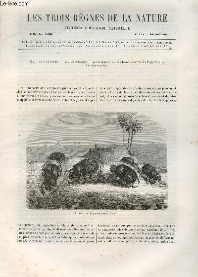 LES TROIS REGNES DE LA NATURE - LECTURES D'HISTOIRE NATURELLE / TROISIEME ANNEE  - N145 - 6 OCTOBRE 1866 / SUITE DES COLEOPTERES : LES COPROPHAGES - LES BOUSIERS - LES INSECTES SACRES DES EGYPTIENS - LES STERCORAIRES.