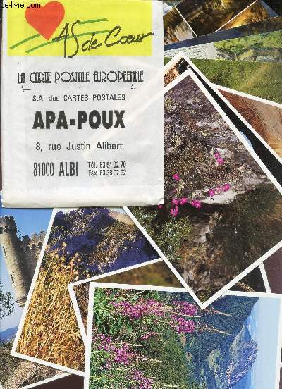 LOT DE 13 CARTES POSTALES COULEUR VIERGES SUR DES CHATEAUX ET PAYS CATHARE, ARIEGE.