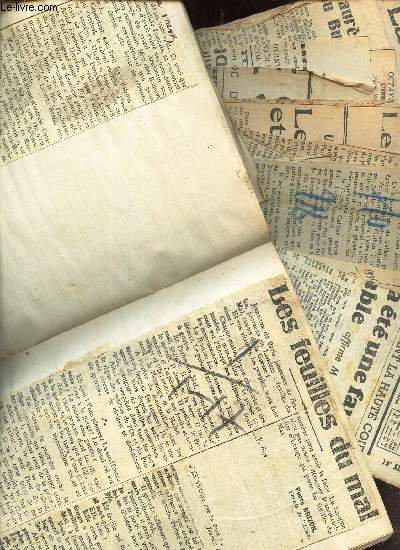 LOT DE NOMBREUSES COUPURES DE  PRESSE regroupes dans un cahier TRAITANT DE : SUJETS DIVERS.