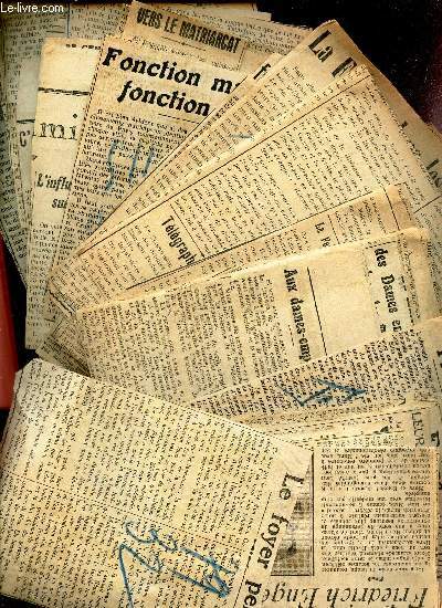 LOT IMPORTANT DE COUPURES DE PRESSE SUR LE SUJET DE LA FAMILLE.