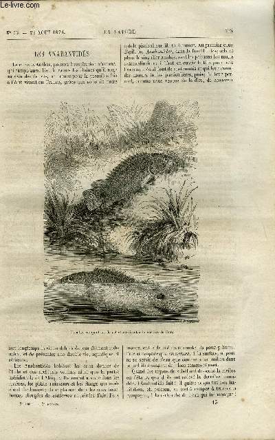 Revue des sciences et de leurs applications aux arts et  l'industrie.