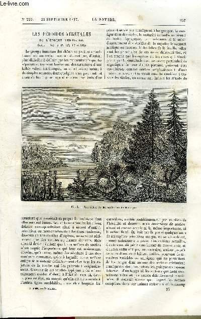 Revue des sciences et de leurs applications aux arts et  l'industrie.