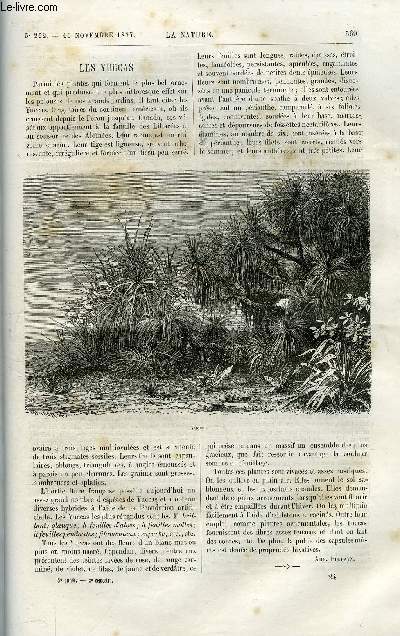 Revue des sciences et de leurs applications aux arts et  l'industrie.