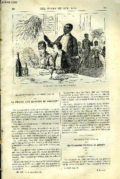 La chasse aux mouches en Amrique.