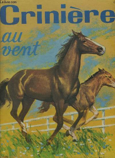 CRINIERE AU VENT