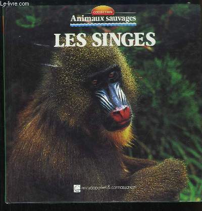 Les Singes. Animaux sauvages.