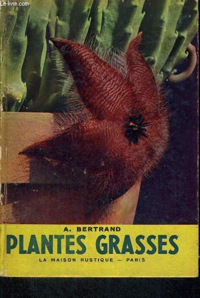 PLANTES GRASSES - AUTRES QUE LES CACTEES - LA MAISON RUSTIQUE