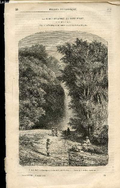 LE MAGASIN PITTORESQUE - LIVRAISON N40 - Le Jardin Botanique De Saint Pierre  La Martinique