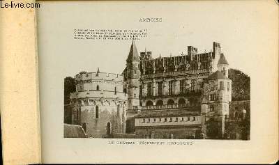 AMBOISE ET SON CHATEAU - LE CHATEAU - LA CHAPELLE - LE PONT SUR LA LOIRE - LA TOUR CHARLE VIII -